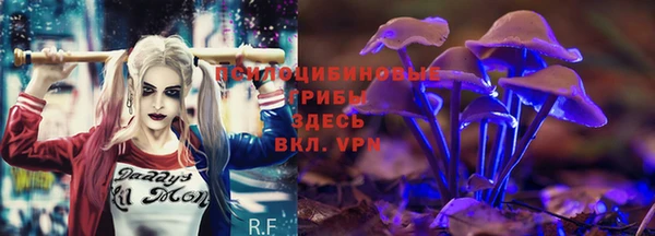 ECSTASY Алексин